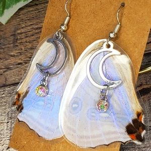 Iridescent Moth Wing Dangle Earrings #127